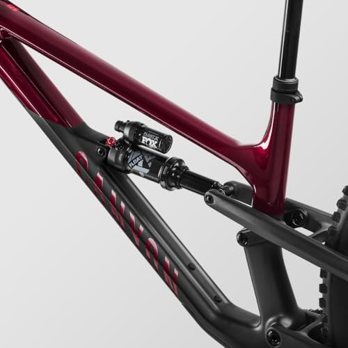 Canyon Spectral 125 CF 8 - Additional View
