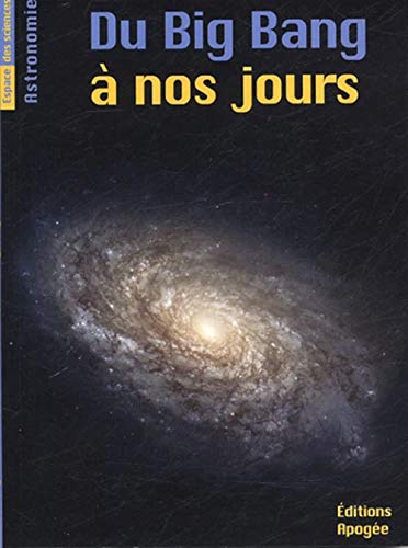 Télécharger Du Big Bang à nos jours Livre eBook France