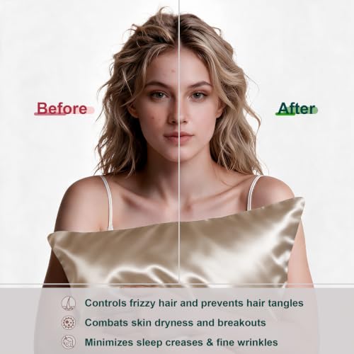 Image of LYSHIN Silk Pillow Cases 2 Pack Queen Size with Zipper, Champagne | 19 Momme Mulberry Silk Pillowcase for Skin and Hair, Anti-Acne, Hypoallergenic, Cooling, Beauty Sleep, Gifts for Women
