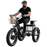 Dfdieratve Bicicleta Eléctrica Tres Ruedas para Adultos - 500W, Batería 48V Extraíble, 30km Autonomía, 2 Modos, para Ciudad, Viajes y Recados Diarios