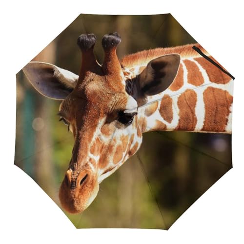 Parapluie pliant automatique compact et résistant pour voyage homme et femme