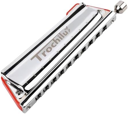 Armonica Blues EASTROCK 10 Fori In Do - Per Principianti E Professionisti, Con Custodia - Foto 5