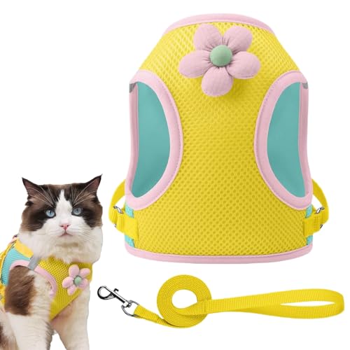 pxXgn[lX | ˍރ`FXgn[lX,ʋC ybgp q Xgbv U   r[` Lv AEghA s oRp