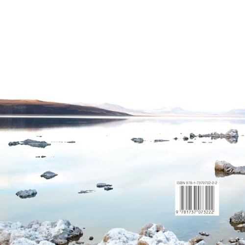 The Feather on His Hat: A Tale of Mono Lake (Road Trip Tales) - Image 2