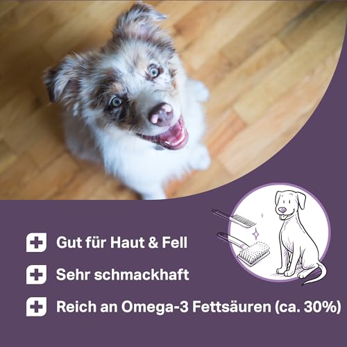 Medidog Premium Lachsöl für Hunde, 1000 ml