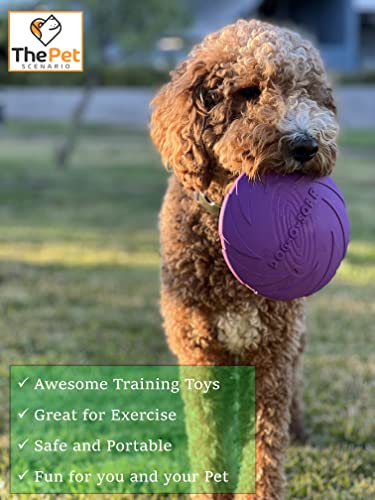 Dog Frisbee Doggy Saucer – 2 Pack Of Rubber Frisbee Discs (1 Sm, 1 Lg) For All Pets – Strong, Tough, Durable, Interactive, Bite-Friendly Flying Toy For Fetch And Pet Training – Bpa-Free Rubber #TOP5