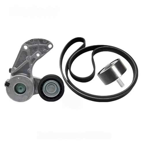 Poulie de renvoi courroie 95510293300 pour réparer un sifflement moteur