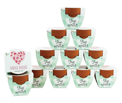 BUZZY Seeds Love Collection Mini Rose Terracotta Grow Pots, 12-Pack Gardening Kit Ideal for Wedding...
