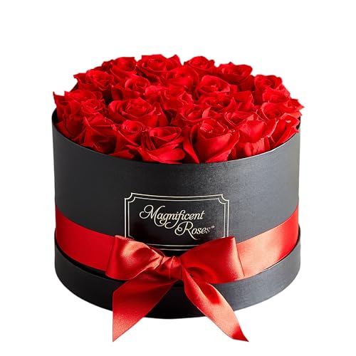 Magnificent Roses Â® By 1-800-Flowers Premier Preserved Red Roses
