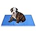 Fiqops Tapis rafraîchissant pour chien et chat - Avec gel non toxique - Coussin auto-rafraîchissant - Couverture pour chien et chat - 90 x 50 cm - Bleu - Taille M