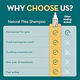 The Healthy Dog Co & Cat - Natural Flea Treatment for Dogs, Cats - Spot On Flea Treatment for Dogs - Dog Flea Treatment, Cat Flea Treatment - Natural Flea Treatment for Dog - Image 4