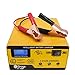 Etrogo Caricabatterie al Piombo 12V/6V 10A Caricatore di impulsi Caricabatterie Intelligente con Schermo LED per Auto, Moto, Giocattoli