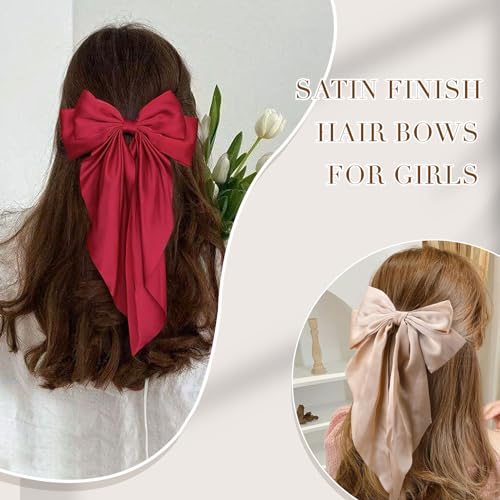10 pcs lazos grandes para cabello con pinzas miniatura 2