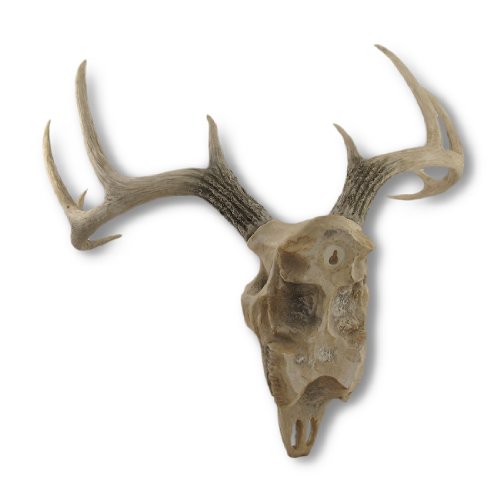 Things2Die4 10 Point Buck Deer Skull Bust Wall Hanging #TOP2