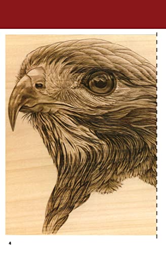 Pyrography Workshop with Sue Walters: Hawk Portrait Step-by-Step Woodburning Tutorial and Beginner's Guide (Fox Chapel Publishing) 2-DVD Set with 16-Page Booklet, Patterns, and Reference Photography - Image 3