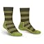 Green/Dark Green