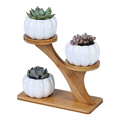 3pcs Pumpkin Succulent Pots Bamboo Wood Shelf Flower Pot Stand Holder, Modern Minimalist White Ceramic Succulent Planter Pot for Office, Desk, House Balcony（Flower Pot Not Included）
