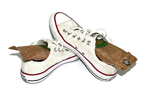 VALENTINO GAREMI Shoe Odor Control & Absorbent - Set of Two - Moisture Remove - Reusable & Self Clean - Gym Bags & Sport Equipment - Footwear Perspiration Eliminator - Natural Rechargeable