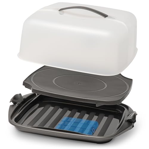 Hausfelder Kuchen-Transportbox mit Kühlakku-Fach 28 5 cm