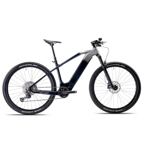 Amzcycle Paladin Electric Mountain Bike, 29-inch, Adult, Carbon Fiber Frame,