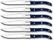 Produktbild Lou Laguiole LOUIS Steakmesser-Set, 6-teilig, Griffe blau, Mikro-Wellenschliff mit langanhaltender Schärfe, super scharf & schnitthaltig, Steakbesteck, Profi Steak-Set