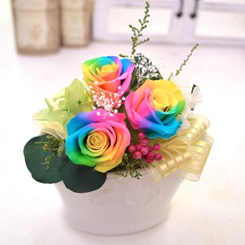 vU[uht[ Mtg C{[[Y C{[REVE NAP[X a j