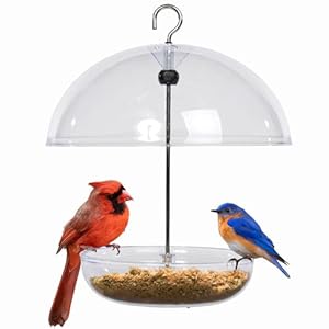 Bluebird Feeder Jacobi Jayne Pearl Feeder Dome Bird Feeder for Small Birds Bluebird Feeder for Mealworms Platform Bird Feeder Dome Cover Covered Mealworm Feeder attracts Blue Birds