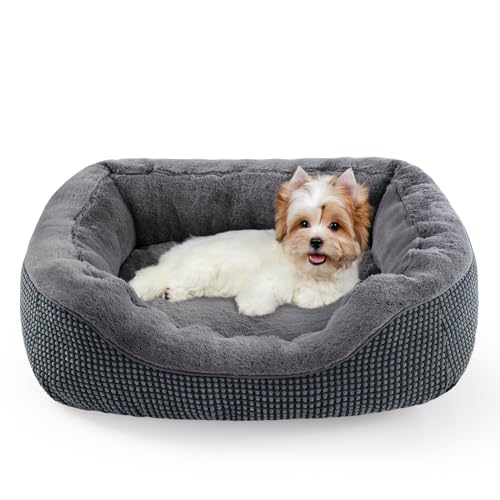 INVENHO Dog Beds for Small Medium Dogs Washable, Calming Orthopedic Warming Soft Calming Sleeping Durable Pet Bed with Anti-Slip Bottom by INVENHO - Used condition - US$27.16