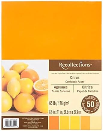 Recollections Citrus Cardstock Paper, 8.5" X 11" - 50 Sheets, 5 Colors
