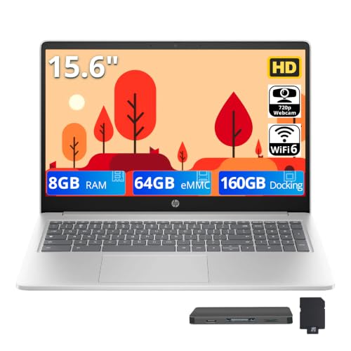 HP 15.6�C���` HD �A���`�O���A Chromebook �m�[�g�p�\�R�� Intel Pentium N200 8GB LPDDR5 224GB �X�g���[�W (64GB eMMC+160GB �h�b�L���O�X�e�[�V�����Z�b�g) Intel UHD Gra