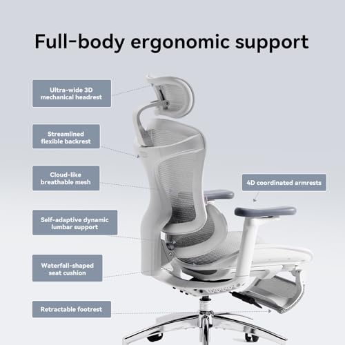 Image of SIHOO Doro C300 Ergonomic Office Chair with Footrest, Ultra Soft 3D Armrests, Dynamic Lumbar Support for Home Office Chair, Adjustable Backrest Desk Chair, Swivel Big and Tall Computer Chair (Grey)