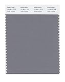 Pantone 17-3911 TCX Smart Color Swatch Card, Silver Filigree