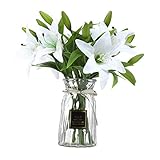 [Andere] - umweltfreundliche Materialien, vielseitig einsetzbar und wiederverwendbar. Es ist eine großartige Alternative zu echten Pflanzen oder Blumen. Pflegeleicht, keine Bewässerung oder Wartung erforderlich. Verwenden Sie einfach ein feuchtes Tuch, um Staub zu entfernen. Ein tolles Geschenk für Liebhaber, Familie oder Freunde.