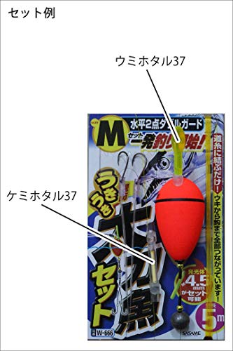 21年最新 釣り入門セットおすすめ10選 釣りを楽しもう