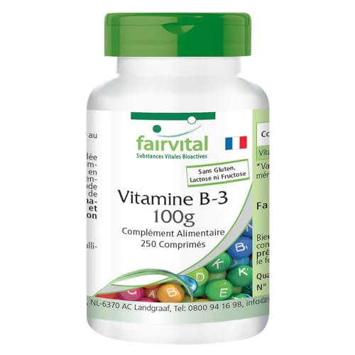 Fairvital | Vitamine B3 Niacine 100mg - boite de 8 mois - VEGAN - Fortement dosé - 250 comprimés - nicotinamide