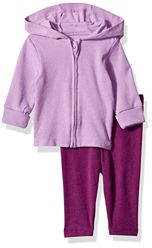 Hanes Ultimate Baby Flexy 2 Piece Set (Pant with Zippin Knit Hoodie), Purple, 6-12 Months