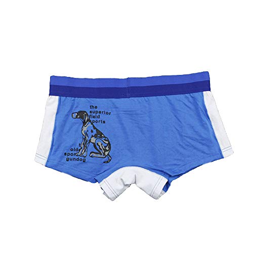 Boxers pour trans et lesbiennes en coton doux pour éliminer l'inconfort