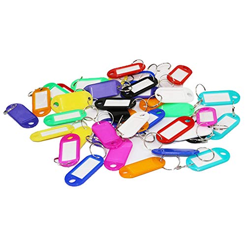 Etiquetas de identificación para llave, con etiqueta, de plástico, para equipaje de mascotas, con anilla dividida, 60 unidades