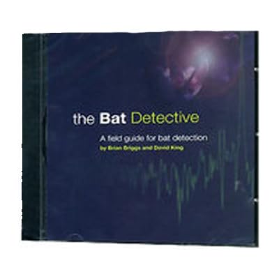 The Bat Detective