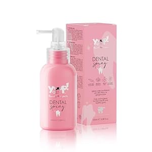 Yuup! Dental Spray für Hund und Katze 100ml