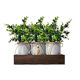 CALAVAK Decorative Centerpiece Wooden...