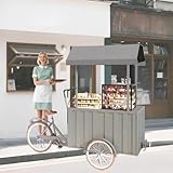 Vending Trike Mobile Food Beverage Bike with Oversized Roof, Ice Cream Drinks Showcase Bicycle, Tricycle Cart Trailer for Parks, Night Markets, Shopping Malls,Grey