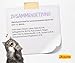 JOSERA Nassfutter Kitten Turkey (12 x 85 g) | Kitten | Premium Katzenfutter nass für wachsende Katzen | Pute & leckere Geflügelbrühe | getreidefrei | Anti-Haarballen | Alleinfutter | 12er Pack