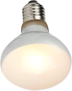 Ipetboom 1Pc Tartaruga Tanque Lâmpada De Calor Aquecedor De Frango Luz Lâmpada De Calor Réptil Lâmpada De Calor Lâmpada De Vidro Animais Lagarto Lâmpada De Calor Lâmpada De Lagarto