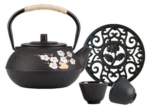 kitchen cast iron tea kettle