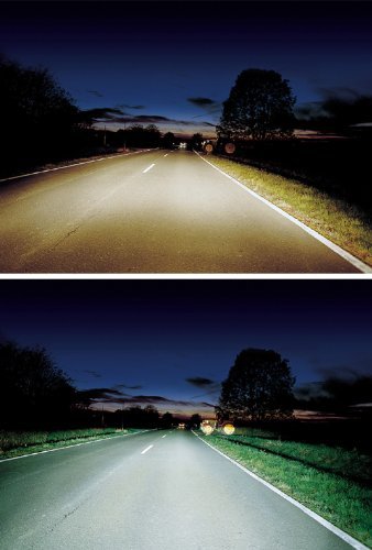 Xenon White Light Low Bulbs For 93-97 & 01-04 Toyota Corolla 9006 (Set Of 2) #TOP4