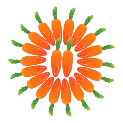 CIYODO 20~jlHjW ͋[ pi ̎ɓK 