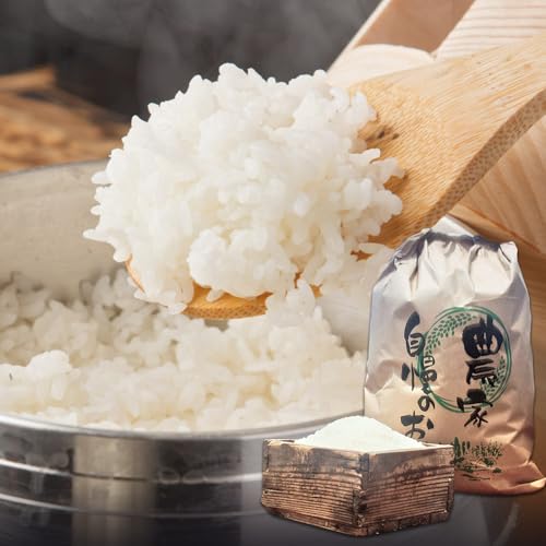 超早期米 コシヒカリ こしひかり 5kg 田嶋ファーム[30日以内に出荷予定(土日祝除く)]熊本県 苓北町 米 早期米 天草 苓北 国産 九州 熊本 熊本県産