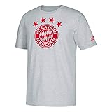adidas 2018 FC Bayern Go-to Tee-Grey XL