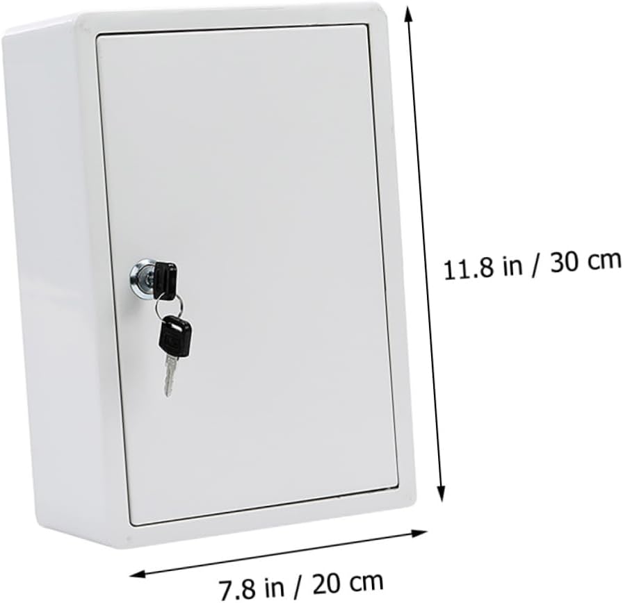 Veemoon Wall Mount Milk Box Lock Outdoor Box for Fresh Milk Plastic Package Locker for Porch Use Random Color